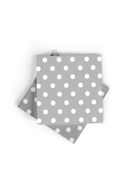 PUANLI PEÇETE GÜMÜŞ