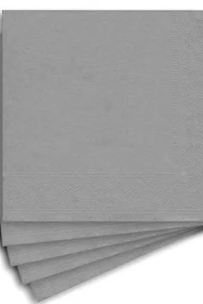 20 Lİ GÜMÜŞ PEÇETE