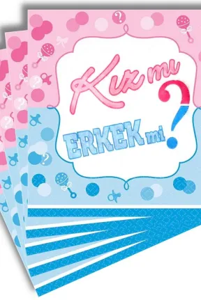 20 Lİ KIZ MI ERKEK Mİ PEÇETE