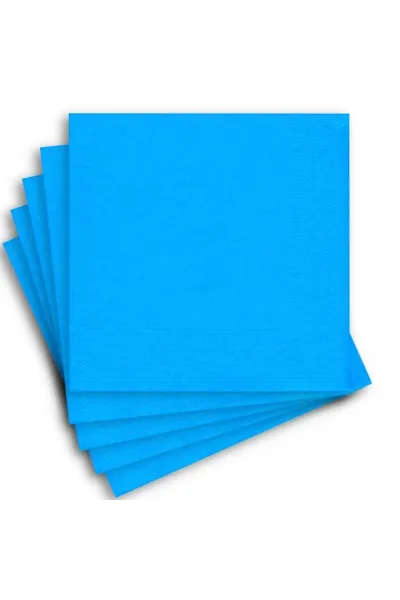 20 Lİ MAVİ PEÇETE