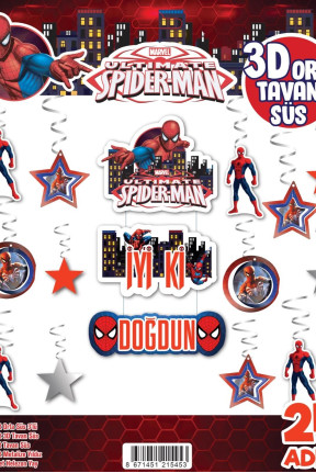 3D TAVAN SÜS 24 LÜ ÖRÜMCEK ADAM