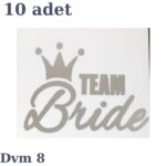 DÖVME TEAM BRİDE GÜMÜŞ NO:8 10 LU