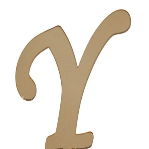 PLEKSİ 20 Lİ HARF ALTIN NO:Y