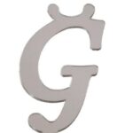 PLEKSİ 20 Lİ HARF GÜMÜŞ NO:Ğ