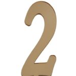 PLEKSİ 20 Lİ RAKAM ALTIN NO:2