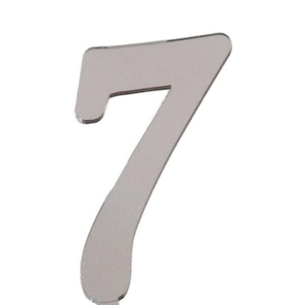 PLEKSİ 20 Lİ RAKAM GÜMÜŞ NO:7